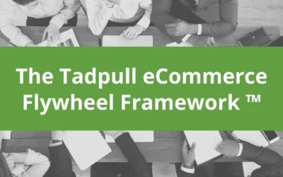 Grow your Business: The Ecommerce Flywheel Framework ™